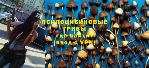 Альфа ПВП Балабаново