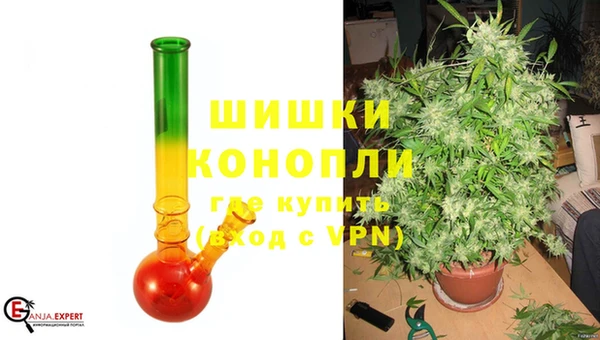 PSILOCYBIN Балахна