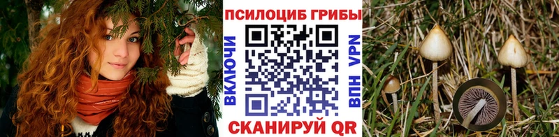 купить закладку  Балей  Псилоцибиновые грибы MAGIC MUSHROOMS 